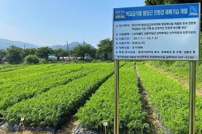 봄 당근 친환경 재배 기술개발 연구 시험장 모습. (사진=경기도농업기술원 제공) *재판매 및 DB 금지