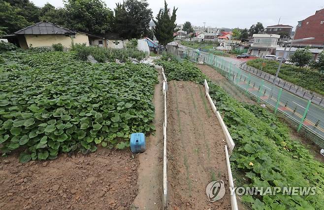 무단 철거된 빈집 터 (대전=연합뉴스) 이주형 기자 = 대전 동구청이 도로개설 공사를 하면서 공사구역에 포함되지 않은 빈집을 소유자의 허락 없이 철거해 논란이다. 
  사진은 헐린 빈집 터. 옆으로 동구청이 개설한 도로가 보인다. 2022.8.2 coolee@yna.co.kr