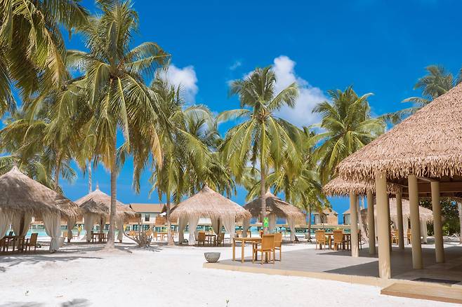 ⓒ리티 파루 리조트