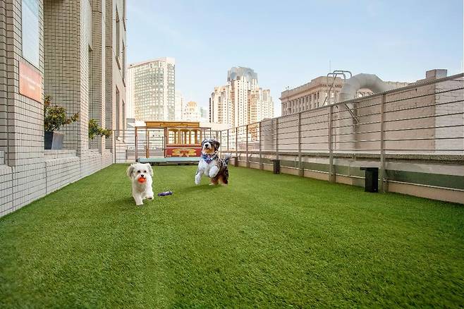 호텔 니코 샌프란시스코. <제공 = 샌프란시스코 관광청>