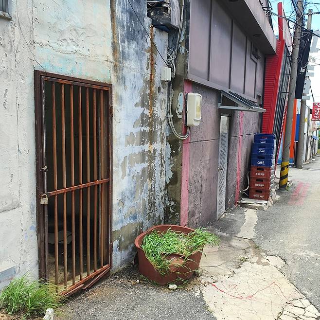 군산 아메리칸 타운 골목 촬영 홍인철