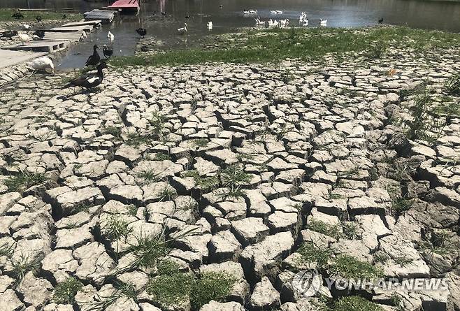 [기후위기현장을 가다] 바닥을 드러낸 멕시코 라보카 댐 저수지 (산티아고[멕시코 누에보레온주]=연합뉴스) 고미혜 특파원 = 멕시코 북부 몬테레이 지역에 물을 공급하는 산티아고 라보카 댐 저수지가 2일(현지시간) 오랜 가뭄으로 메말라 바닥을 드러내고 있다. 2022.8.4. mihye@yna.co.kr