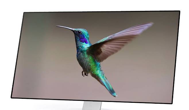 JOLED가 잉크젯 프린팅 방식으로 만든 4K 해상도 모니터용 OLED 모습. /JOLED 제공