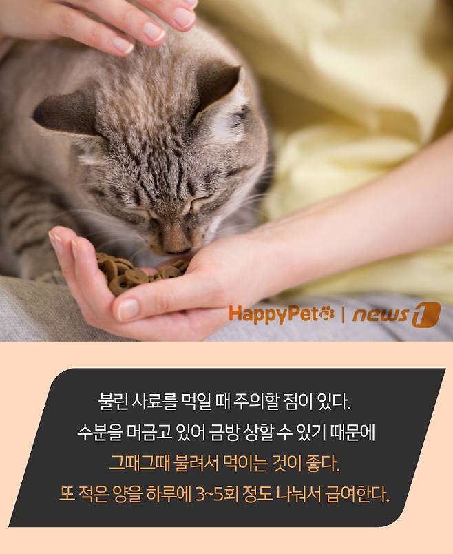 펫카드 ⓒ 뉴스1