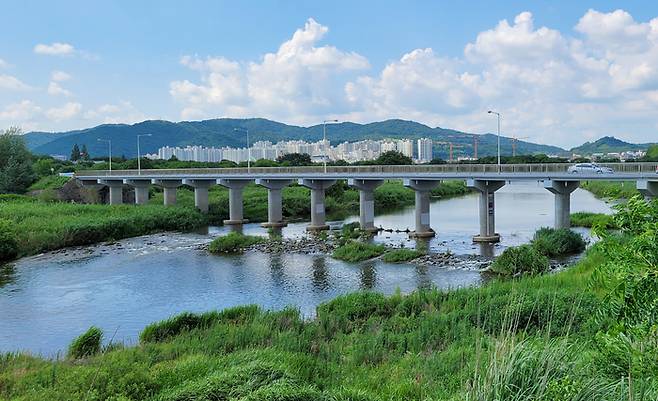 황룡강 장록습지를 잇는 장록교. 광주 광산구 제공.