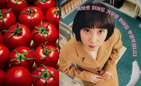 [123RF], ENA 방송 캡처