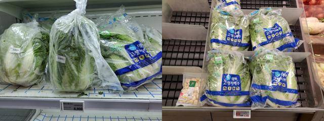 31일 서울 시내 두 대형 마트에서 판매 중이던 국내산 배추. 왼쪽은 한 통에 8,900원, 오른쪽은 5,480원이다. 강유빈 기자