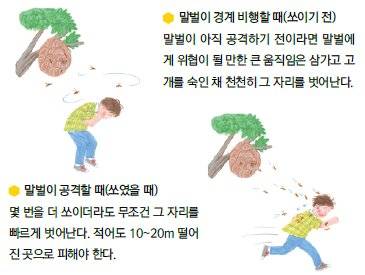 벌 쏘임 예방 및 대처요령. 국립수목원