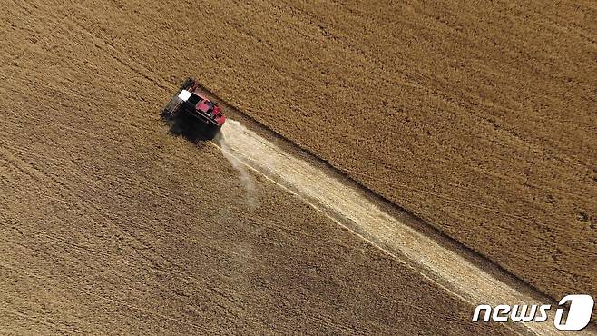 7일(현지시간) 러시아의 침공 속 우크라이나 도네츠크의 크라마토르스크 인근에서 농부가 밀을 수확하고 있다. ⓒ AFP=뉴스1