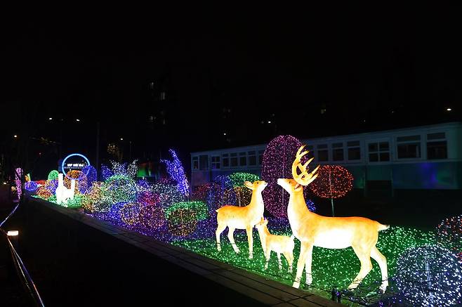 노원 불빛정원 (출처-노원구청) 