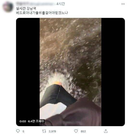 트위터 캡처
