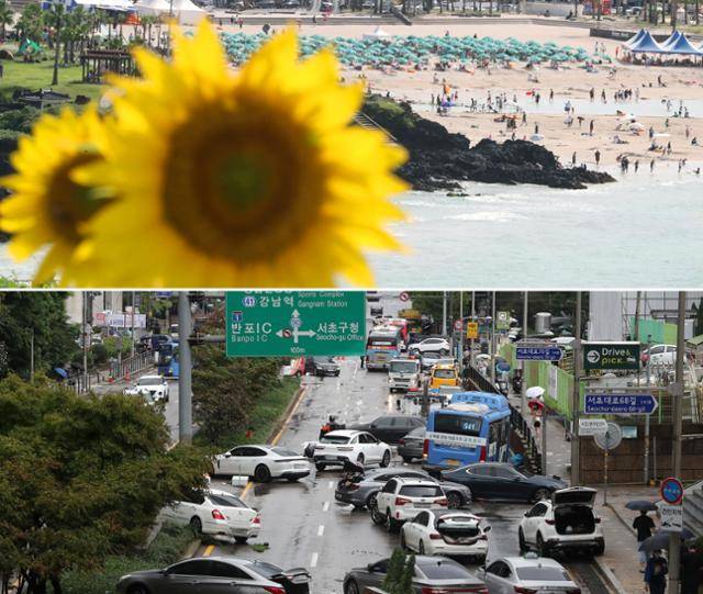 제주지역에 폭염특보가 발효 중인 9일 오후 제주시 조천읍 서우봉에 활짝 핀 해바라기 뒤로 함덕해수욕장에서 피서객들이 물놀이를 즐기고 있다(위). 중부지방을 중심으로 폭우 피해가 발생한 같은 날 서울 서초구 서초대로 일대에 고립됐던 차량들이 뒤엉켜 있다. 뉴스1