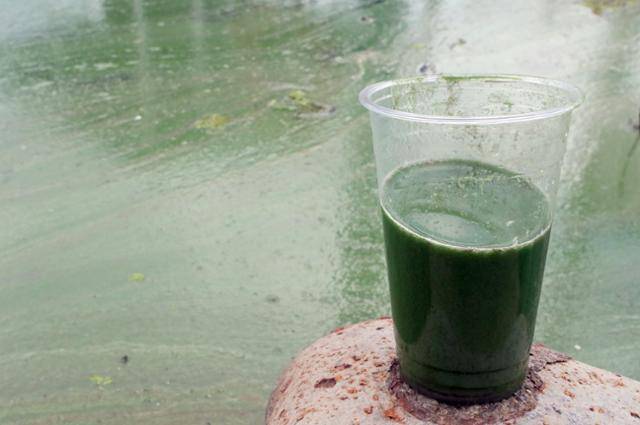 4일 경남 창녕군 길곡면과 함안군 칠북면 경계에 위치한 창녕함안보 일대 낙동강에서 뜬 강물 색. 창녕=연합뉴스