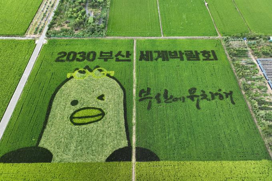 A rice paddy is decorated with a gigantic picture of Boogi the seagull, the mascot for the Busan Expo 2030, on Aug. 10 in Busan. The writing reads, ″2030 Busan World Expo, come to Busan.″ Busan is competing against Saudi Arabia’s Riyadh and Italy’s Rome in a bid to host the World Expo. [YONHAP]