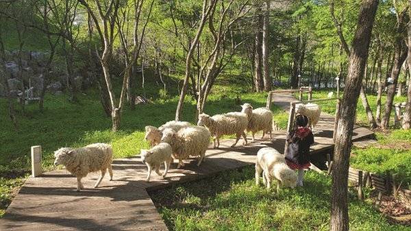 숲속의 동화 실외동물원
