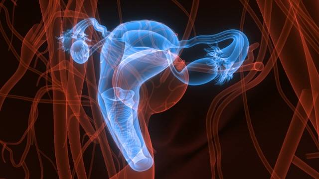 게티이미지뱅크 제공