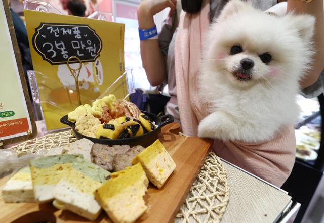 지난달 22일 서울 강남구 코엑스에서 열린 '2022 케이펫페어 서울'의 한 부스에서 반려동물용 음식을 전시하고 있다. 연합뉴스