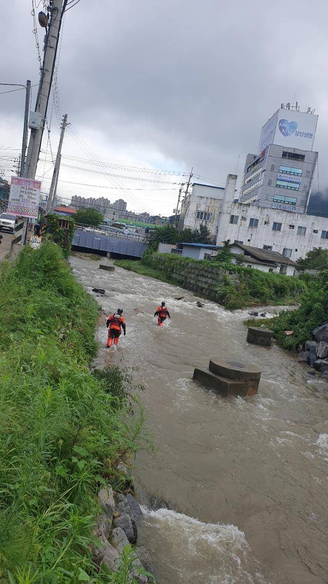 10일 오전 경기 남양주시 화도읍 마석우천에서 소방당국이 전날 밤 돌다리를 건너다가 급류에 휩쓸려 실종된 중학생을 찾기 위해 수색 작업을 하고 있다. 연합뉴스
