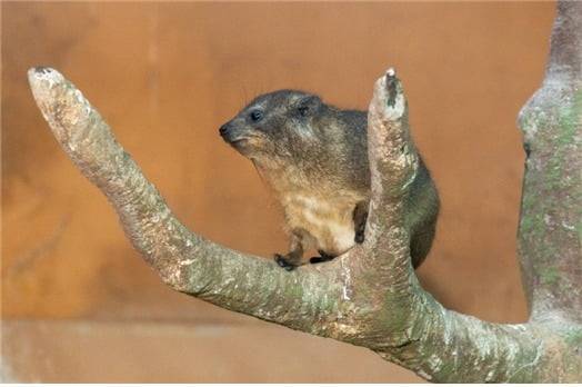 사진= 서울시 제공