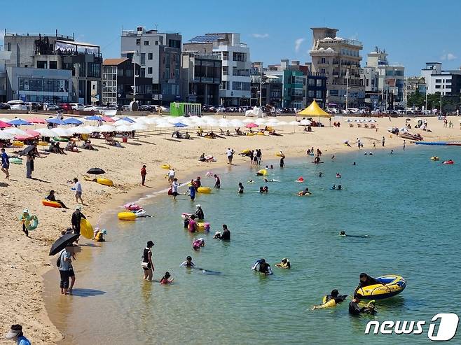 막바지 피서철과 광복절 연휴를 앞둔 지난 12일 커피거리로 유명한 강원 강릉 안목해변에서 피서객들이 물놀이를 즐기고 있다. 2022.8.12/뉴스1 ⓒ News1 윤왕근 기자