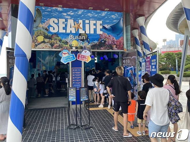 14일 오후 부산 해운대해수욕장 인근 아쿠아리움에 입장하기 위해 피서객들이 줄을 서고 있다.2022.8.14.ⓒ News1 백창훈 기자