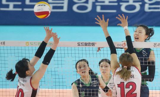 현대건설 양효진이 14일 인삼공사와의 경기에서 공격하고 있다. 연합뉴스