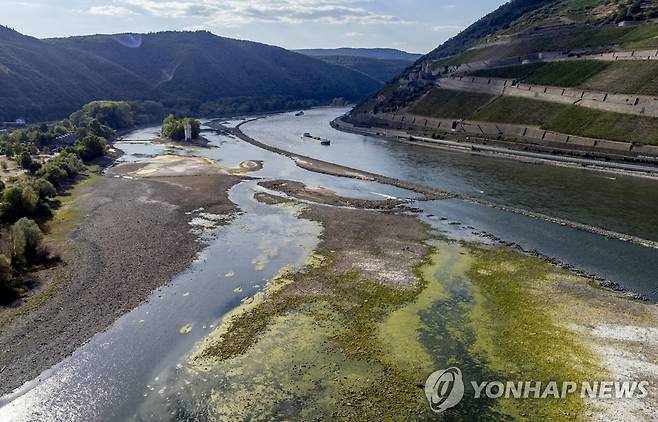 곳곳에 강바닥 드러낸 라인강 [AP 연합뉴스 자료사진. 재판매 및 DB 금지]