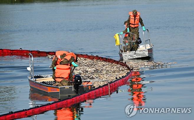 폐사한 물고기 처리하는 폴란드 당국 [EPA 연합뉴스 자료사진. 재판매 및 DB 금지]