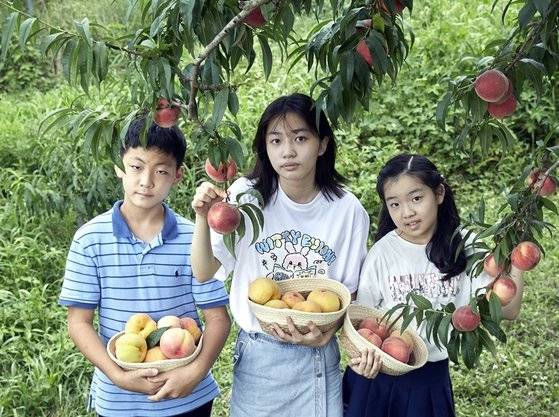 고명성(서울 강명초 6) 학생모델, 김채량(서울 석촌중 1) 학생기자, 문시윤(서울 상명초 5) 학생모델(왼쪽부터)이 복숭아 전문 농원과 복숭아 연구소를 통해 복숭아에 대한 다양한 사실을 알아봤다.