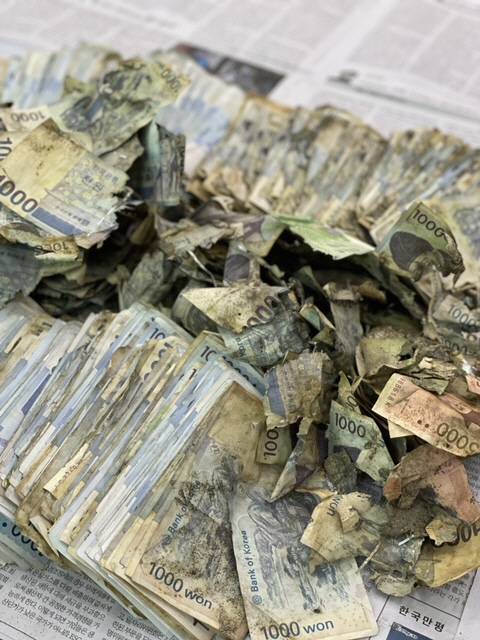 손상된 은행권. [사진 제공 = 한국은행]