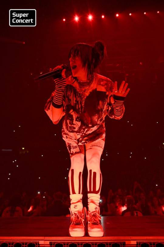 ▲ 빌리 아일리시. 제공| 현대카드