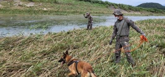 15일 오후 충남 부여군 규암면 하천 변에서 육군 제32사단 장병들이 수색견과 함께 전날 새벽 집중호우 속 급류에 휩쓸린 실종자 2명을 수색하고 있다. (사진=제32사단 제공)