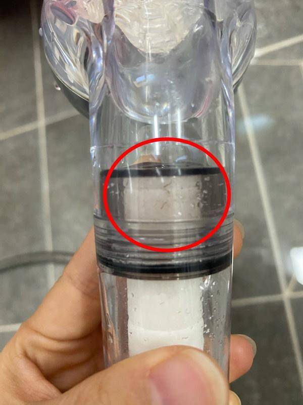 2020년 10월 서귀포시 대포동 한 주택 샤워기 필터에서 발견된 유충 모습. 뉴시스