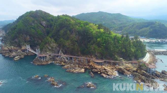 강원 삼척시 근덕면 장호리 초곡항 촛대바위 둘레길