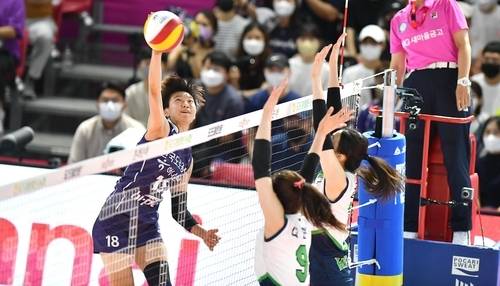 한국도로공사의 새 얼굴 김세인[한국배구연맹 제공]