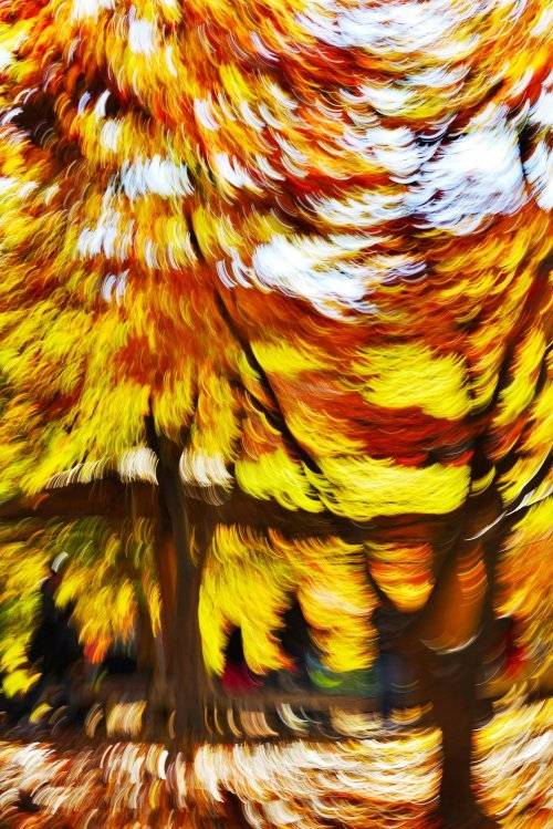 윤상민 작가의 ‘가을소풍’