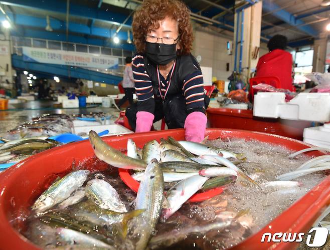 17일 경북 포항시 죽도어시장에서 상인이 가을 대표 생선인 전어 판매를 준비하고 있다. 2022.8.17/뉴스1 ⓒ News1 최창호 기자