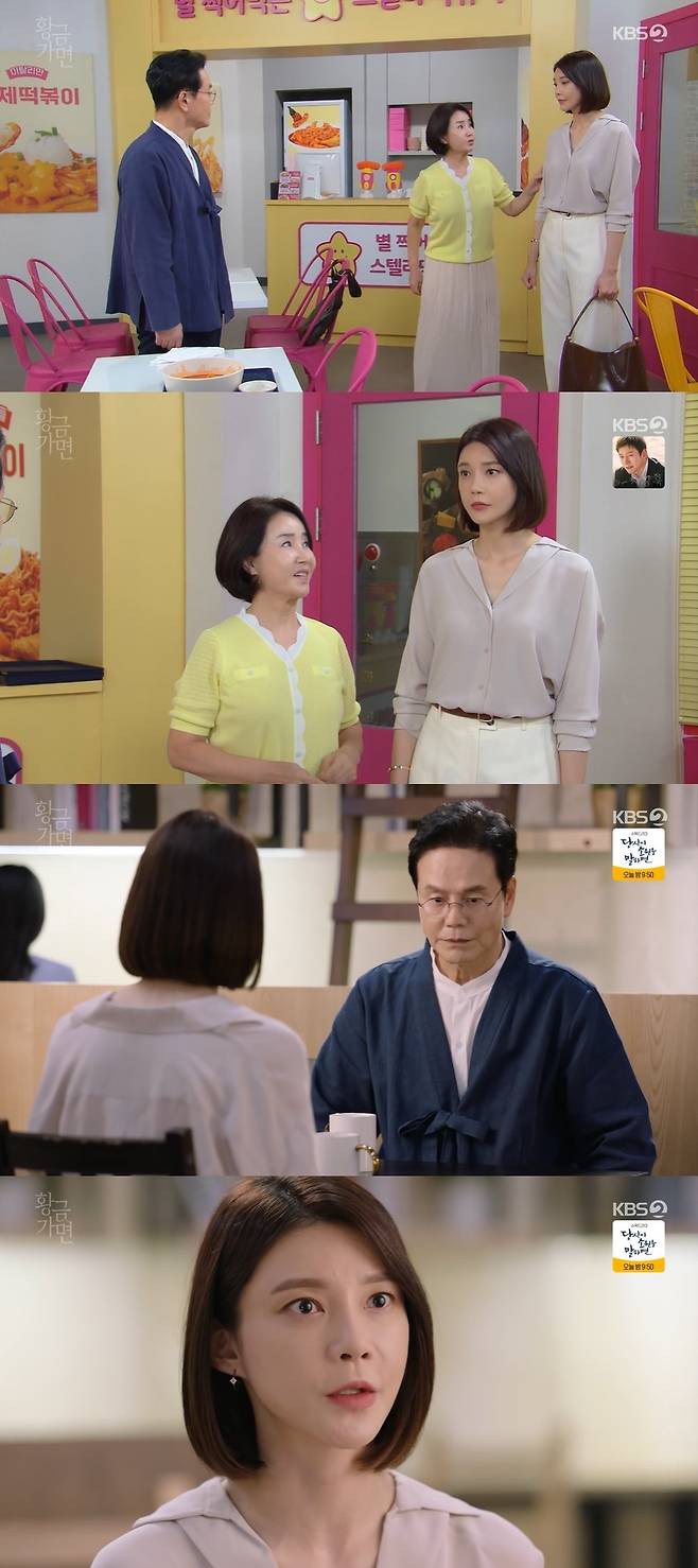 KBS 2TV '황금 가면' 캡처