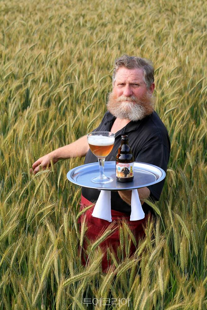 벨기에 플랜더스 맥주