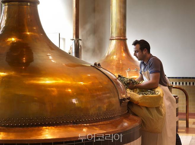 벨기에 플랜더스 맥주 양조장