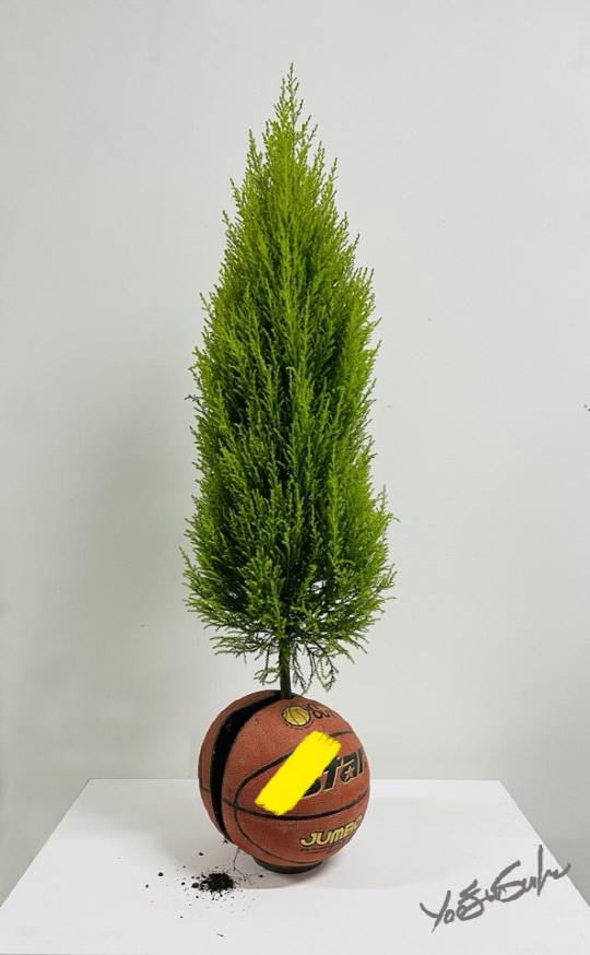 유은석의 '피어난 공'. 사진=대전 신세계갤러리 제공