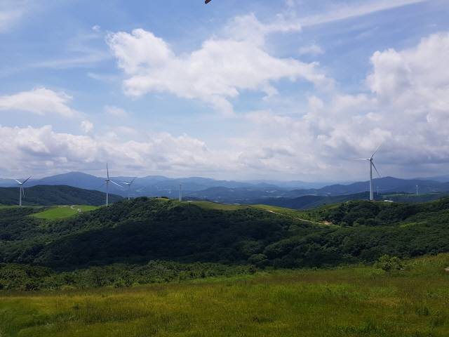 ▲ 푸른 초원 위에 풍차가 힘찬 날개짓을 하며 멋진 장관을 연출한다.