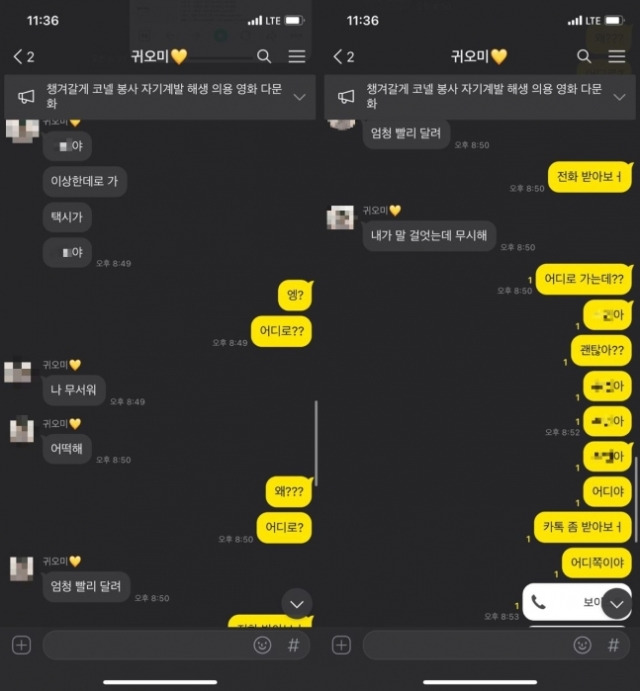 지난 3월 4일 택시에서 뛰어내려 뒤따라오던 SUV에 치여 숨진  여대생이 사망 전 남자친구에게 보낸 카카오톡 대화내용. 청와대 국민청원게시판 캡처