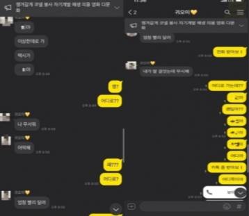 숨진 여대생 B씨가 택시에서 뛰어내리기 전 남자친구에게 보냈던 메시지. /사진=온라인 커뮤니티