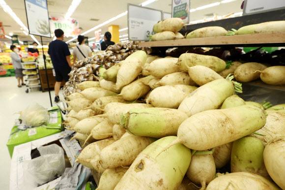 추석을 앞두고 농산물값이 급등하면서 밥상물가를 끌어올리고 있다. 8월 배추 도매값은 1년 전에 비해 121.8%, 무는 67.6% 각각 올랐다. 사진은 서울 시내 대형마트의 채소 판매대.  연합뉴스