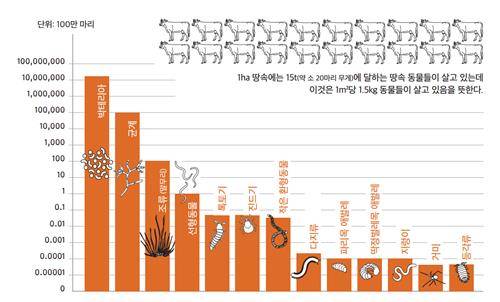 1㎥의 비옥한 땅에 사는 거주자들과 그 개체수 [북트리거 제공. 재판매 및 DB금지]
