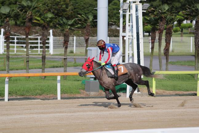 광해왕자와 박성광 기수
