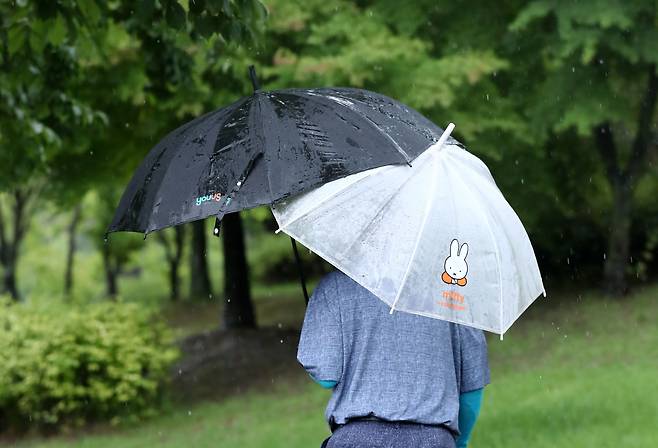지난 11일 오전 대전시 유성구 어은동 유성천 인근을 지나는 한 시민이 우산 2개를 들고 있다. /연합뉴스