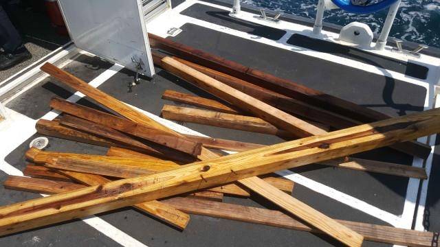 수거한 목재 [포항해양경찰서 제공. 재판매 및 DB 금지]