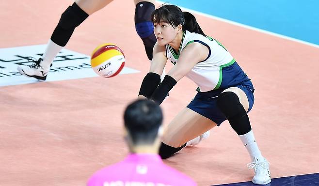 리시브하는 정시영 (서울=연합뉴스) 현대건설 정시영이 18일 전남 순천 팔마체육관에서 열린 2022 순천·도드람컵 프로배구대회 여자부 B조 페퍼저축은행과의 경기에서 리시브를 하고 있다. [한국배구연맹 제공. 재판매 및 DB금지]